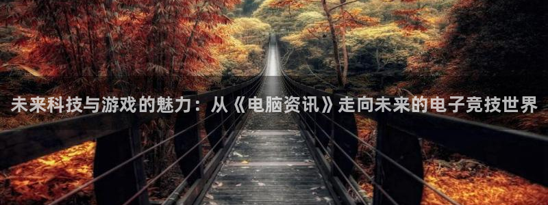 极悦娱乐怎么注册：未来科技与游戏的魅力：从《电脑资讯》走向未