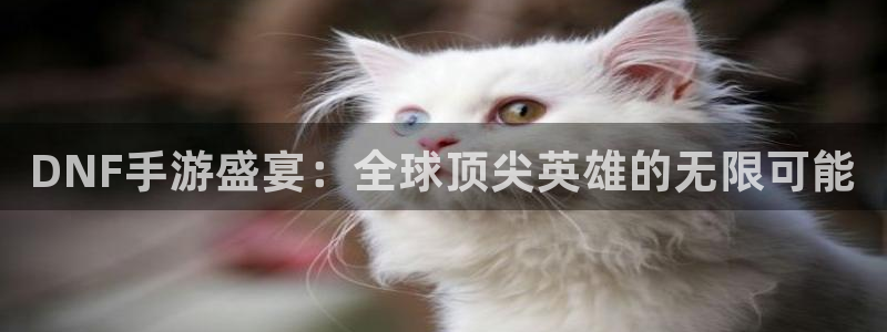 极悦娱乐注册地址：DNF手游盛宴：全球顶尖英雄的无限可能