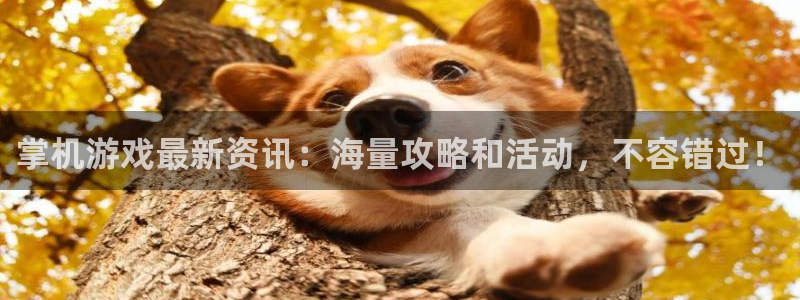 极悦娱乐怎么注册：掌机游戏最新资讯：海量攻略和活动，不容错过