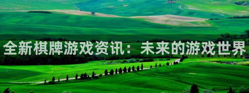 极悦娱乐官方登录网址：全新棋牌游戏资讯：未来的游戏世界