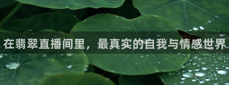 小九篮球直播：在翡翠直播间里，最真实的自我与情感世界