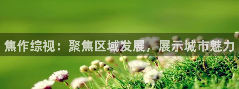 小九免费直播在线观看直播足球：焦作综视：聚焦区域发展，展示城市魅力
