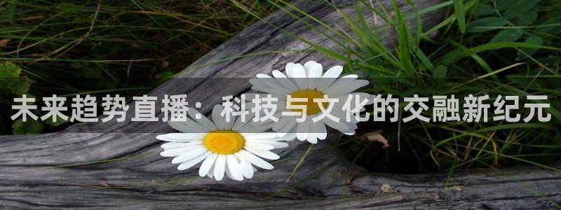 小九免费直播在线观看直播足球：未来趋势直播：科技与文化的交融新纪元