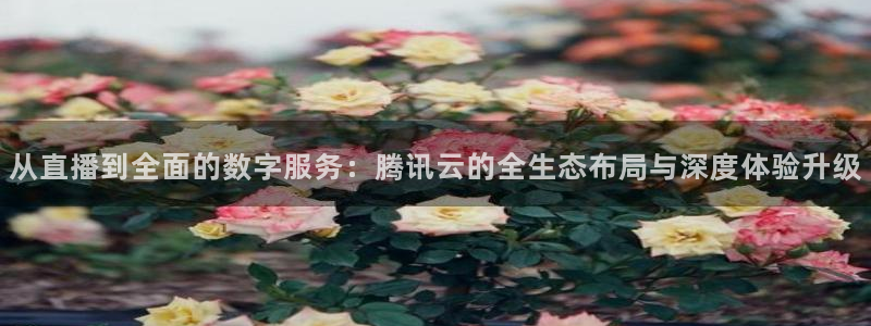 nba在线直播免费观看直播小九直播：从直播到全面的数字服务：腾讯云的全生态布局与深度体验升级
