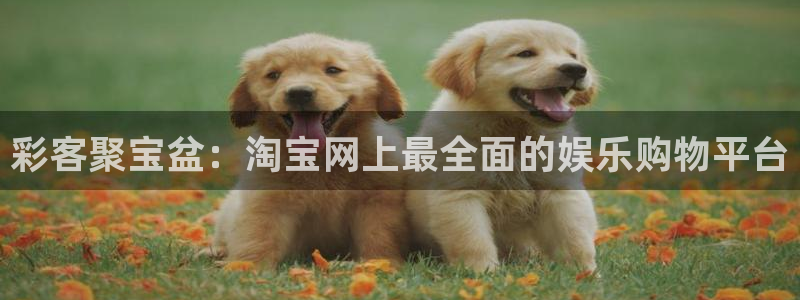 小九乐悠直播nba：彩客聚宝盆：淘宝网上最全面的娱乐购物平台