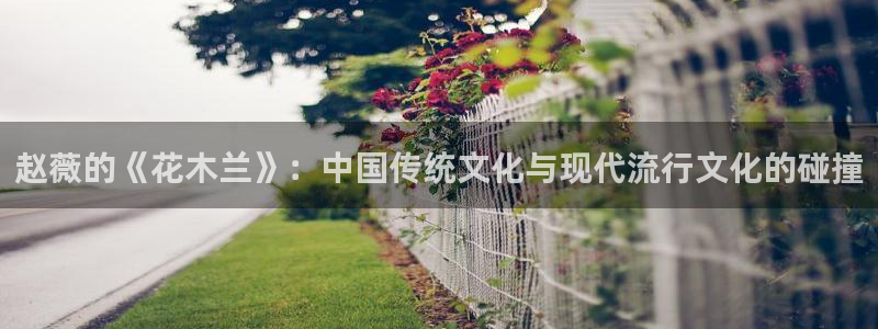 小九直播免费观看：赵薇的《花木兰》：中国传统文化与现代流行文化的碰撞