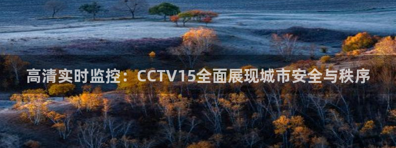 足球直播小九直播：高清实时监控：CCTV15全面展现城市安全与秩序