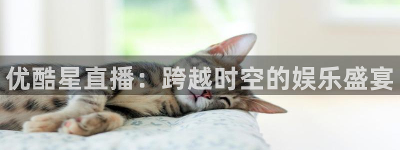 足球直播小九直播：优酷星直播：跨越时空的娱乐盛宴