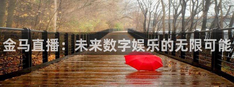 英超直播小九：金马直播：未来数字娱乐的无限可能