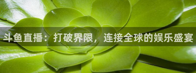 小九直播篮球：斗鱼直播：打破界限，连接全球的娱乐盛宴