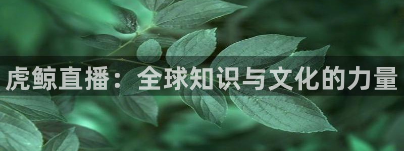 小九nba免费直播：虎鲸直播：全球知识与文化的力量