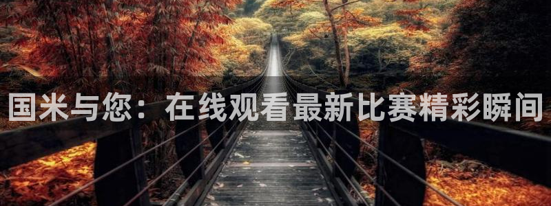 小九直播nba免费观看