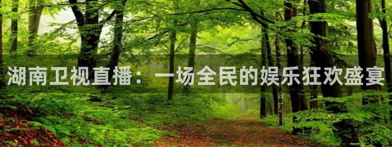 小九直播体育直播平台