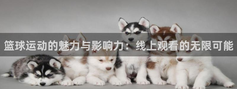 小九篮球直播：篮球运动的魅力与影响力：线上观看的无限可能