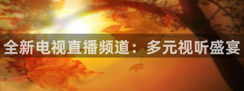 小九体育直播：全新电视直播频道：多元视听盛宴