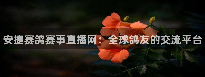 小九直播体育：安捷赛鸽赛事直播网：全球鸽友的交流平台