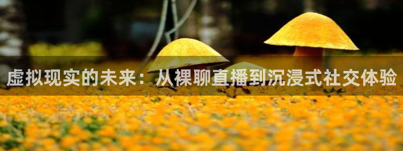 nba直播吧小九直播：虚拟现实的未来：从裸聊直播到沉浸式社交体验
